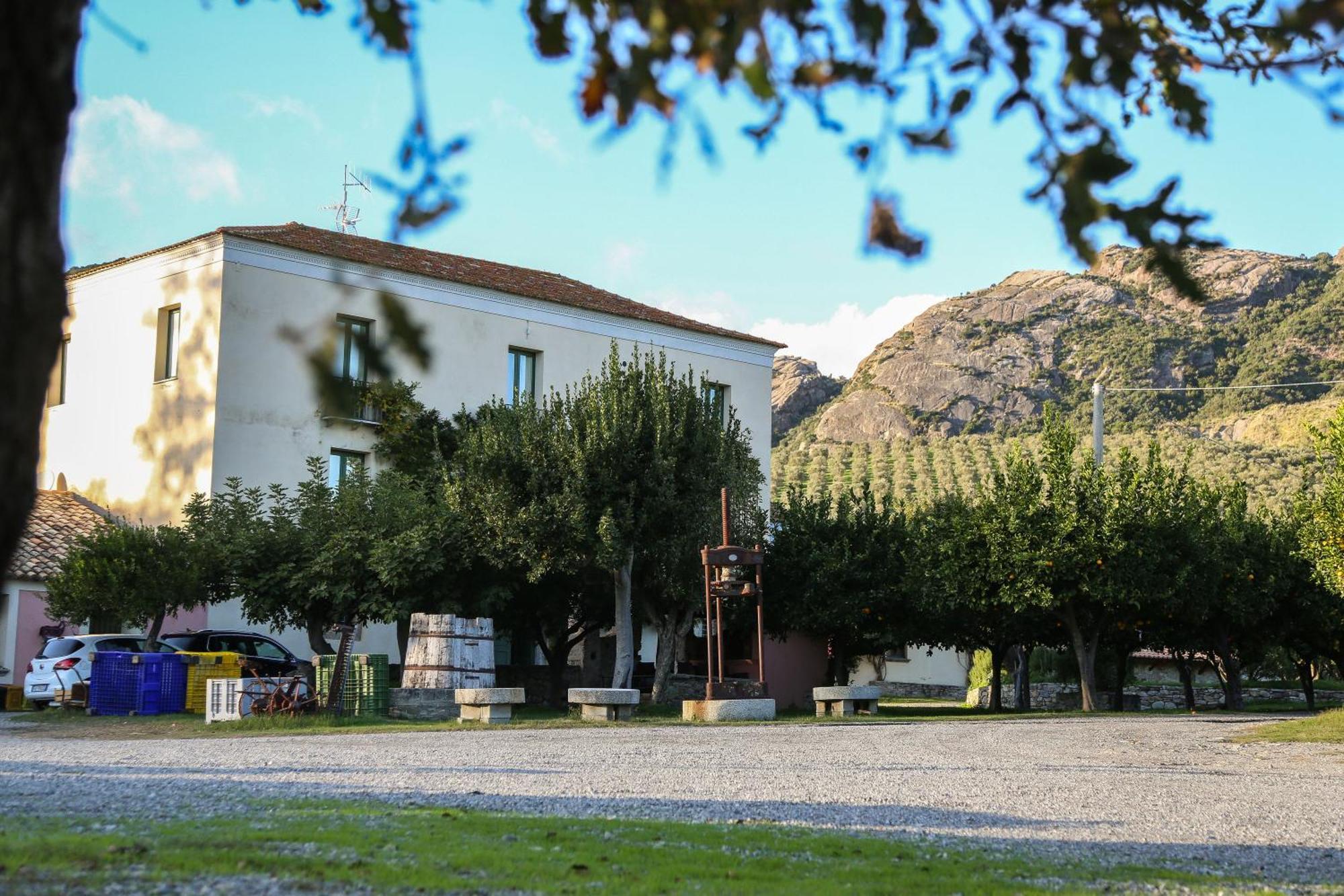 Barone Gr Macri Agriturismo Modi Gerace Exterior photo